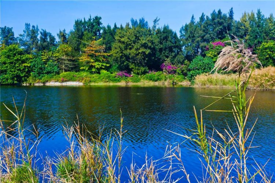 West Coast Haiwei Wetland Park